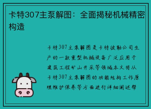 卡特307主泵解图：全面揭秘机械精密构造